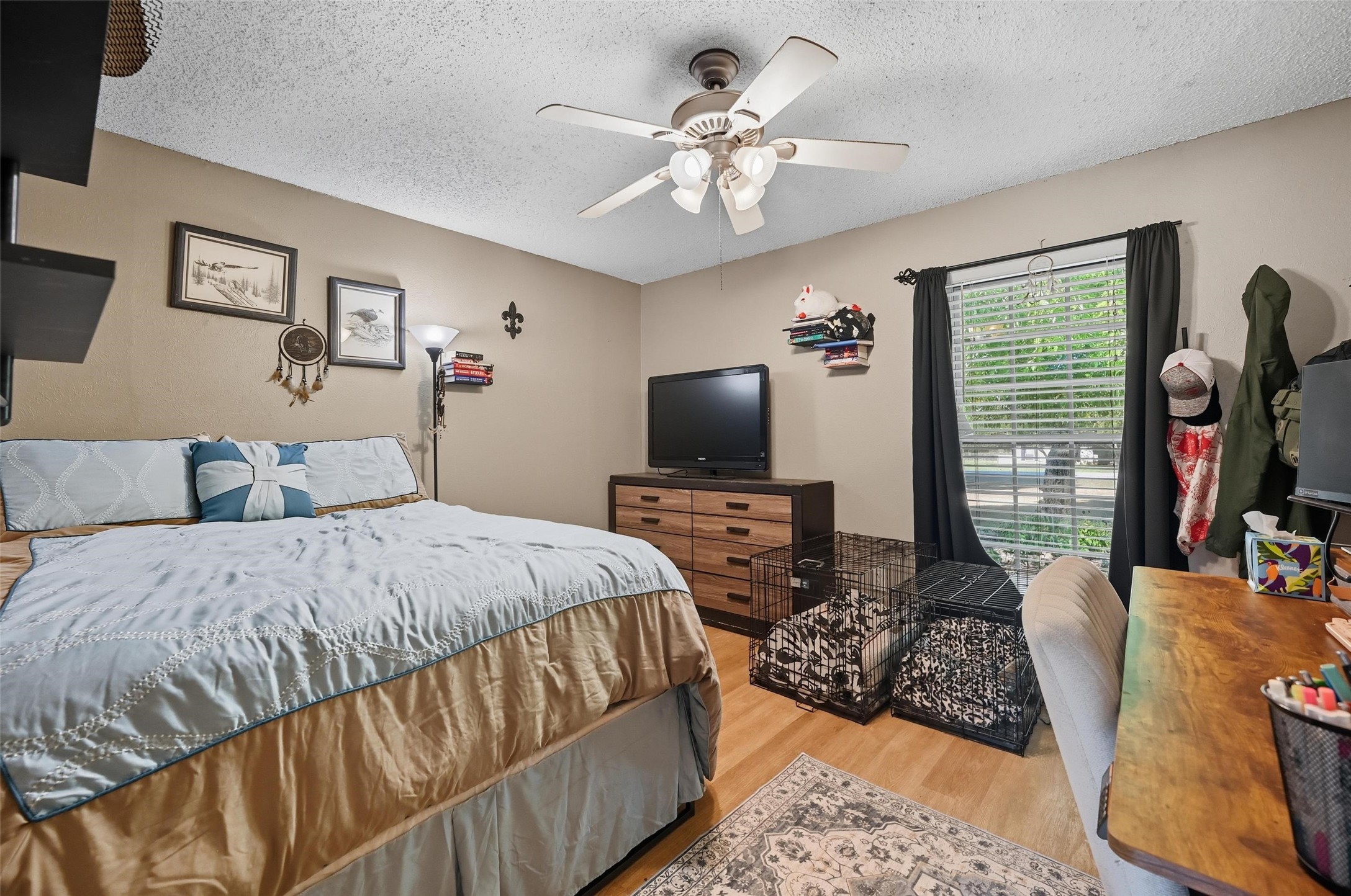 316 Appaloosa Street