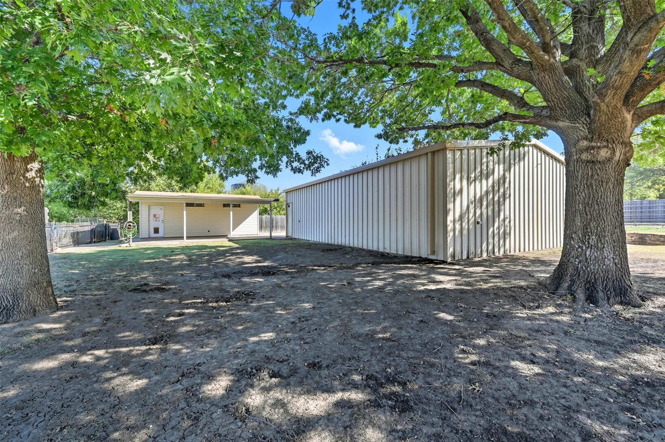 316 Appaloosa Street