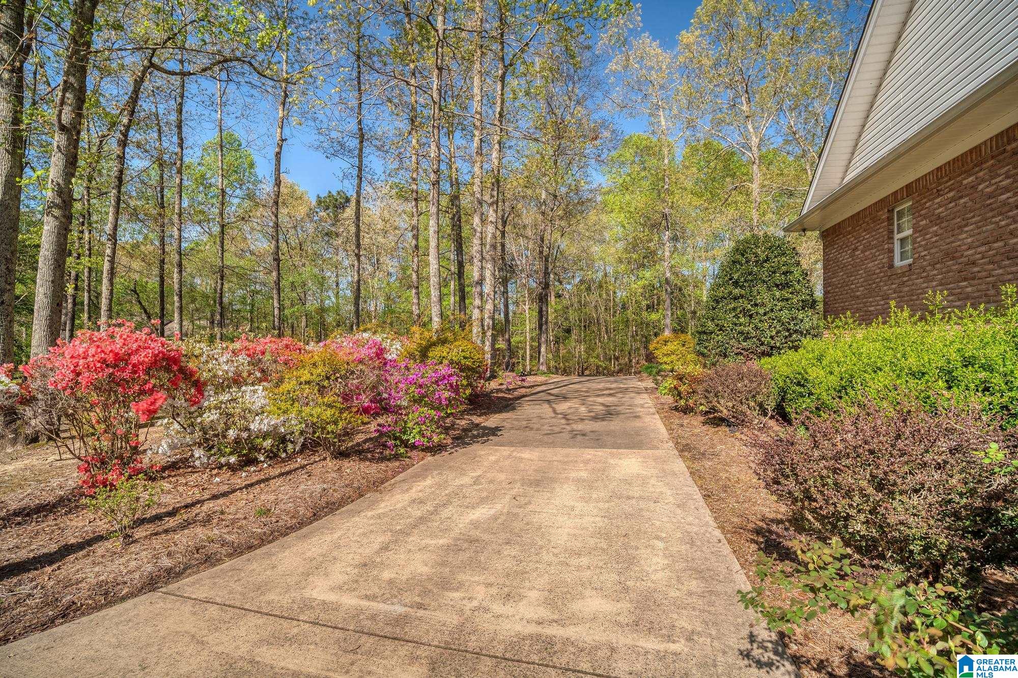 3901 TURKEY RUN