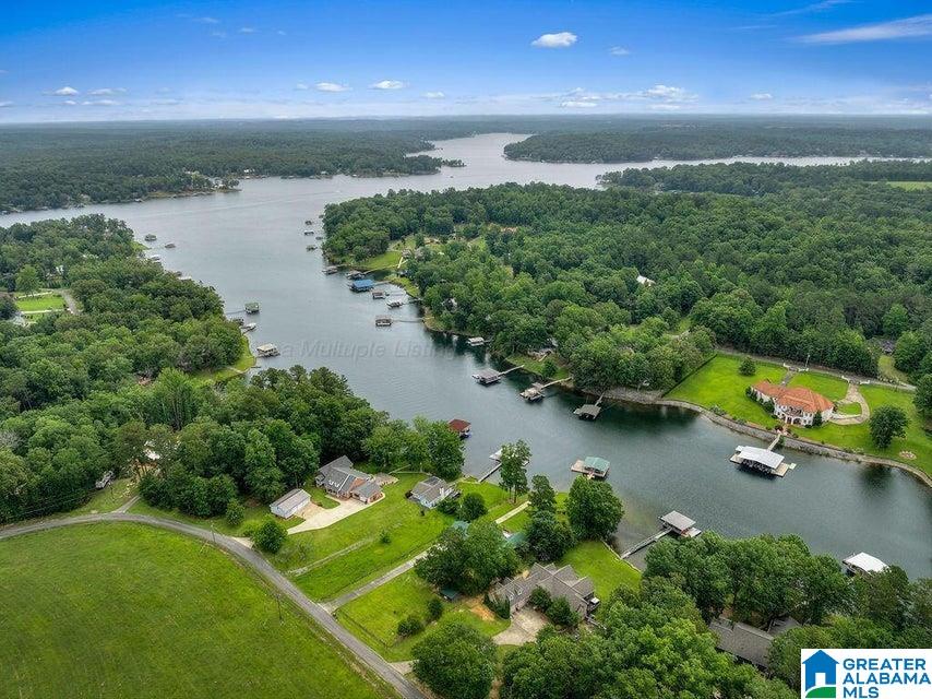 481 RACCOON BRANCH ROAD