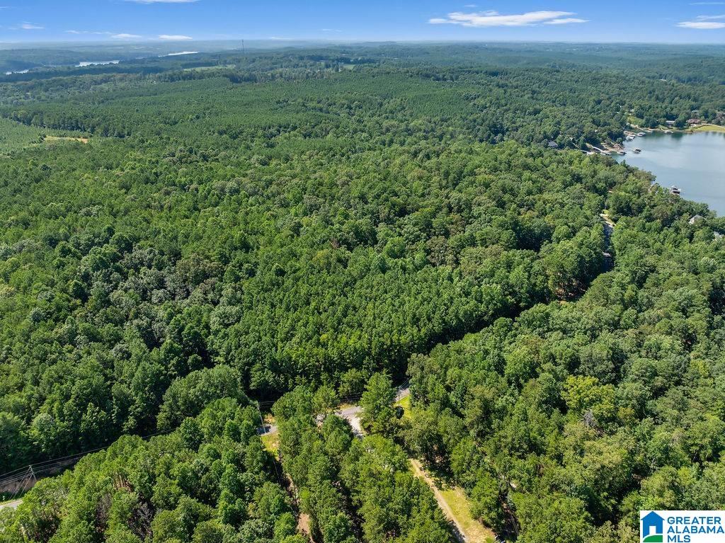 000 LAKE POINTE DRIVE 1