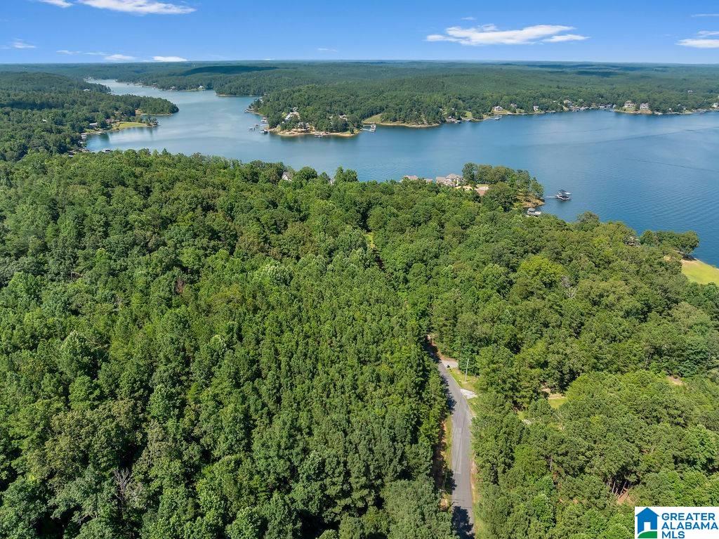 000 LAKE POINTE DRIVE 1