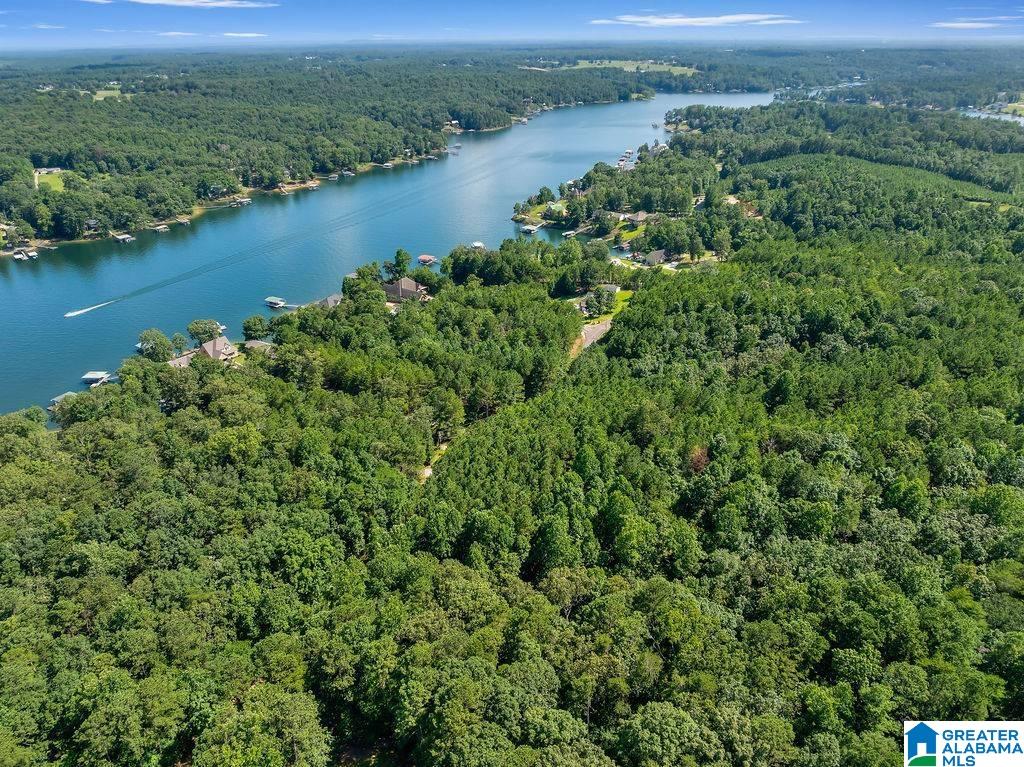 000 LAKE POINTE DRIVE 1