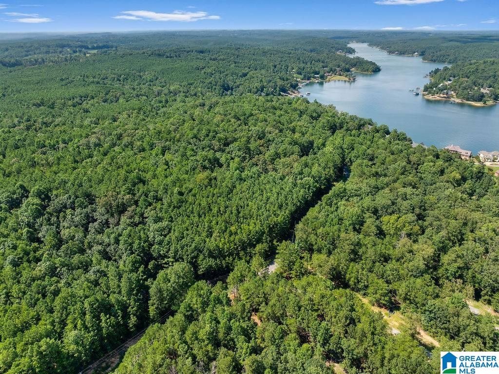 000 LAKE POINTE DRIVE 1