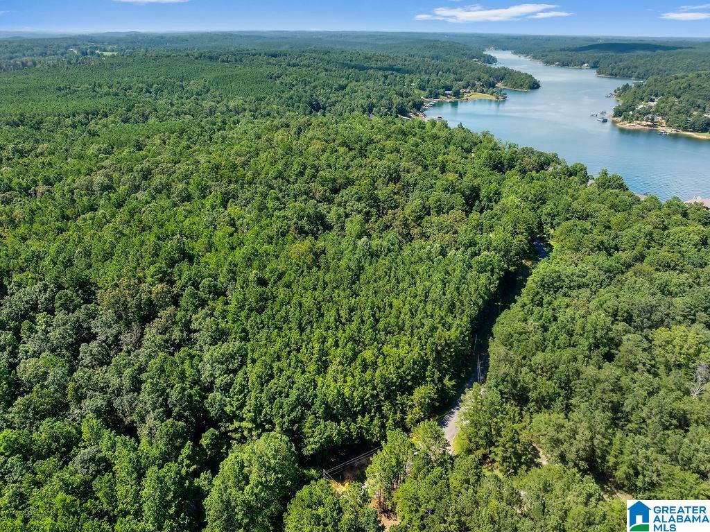 000 LAKE POINTE DRIVE 1