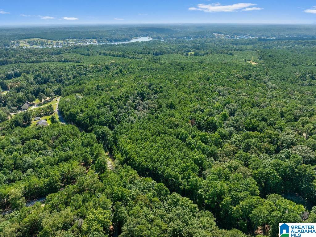 000 LAKE POINTE DRIVE 1