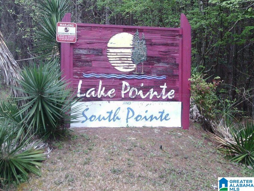 000 LAKE POINTE DRIVE 1