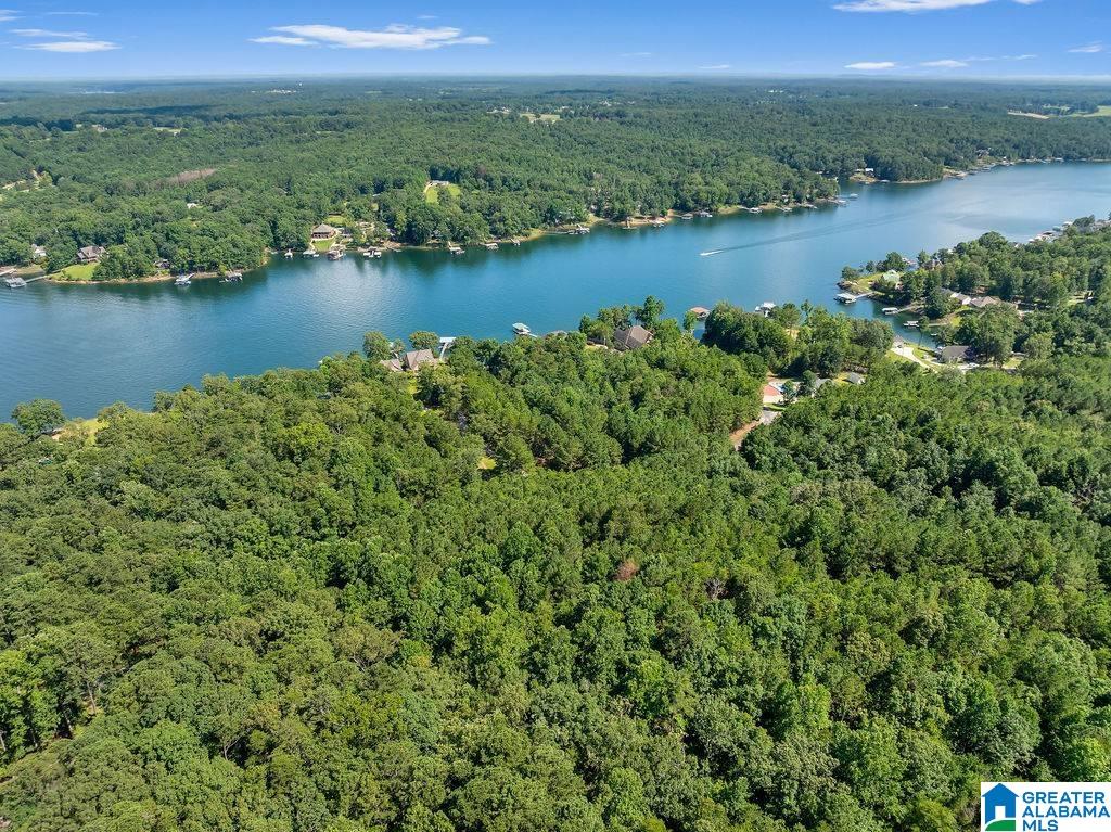 000 LAKE POINTE DRIVE 1