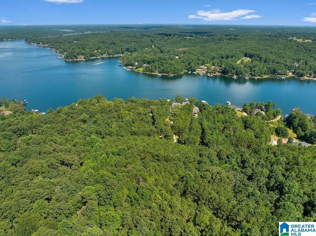 000 LAKE POINTE DRIVE 1