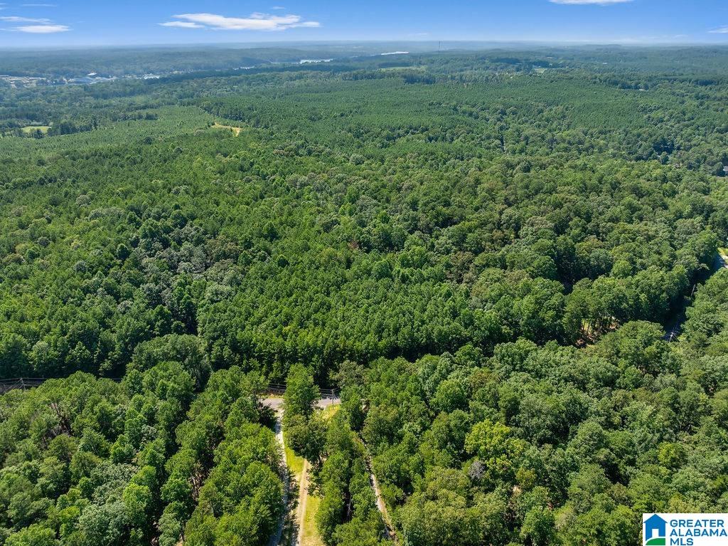 000 LAKE POINTE DRIVE 1