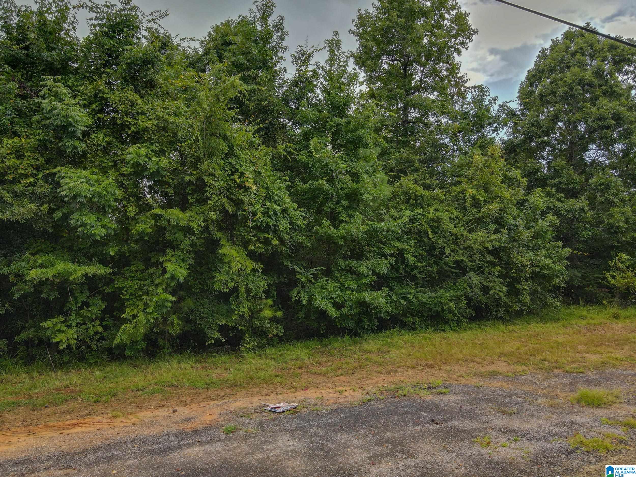 000 OAK LEAF COURT 1