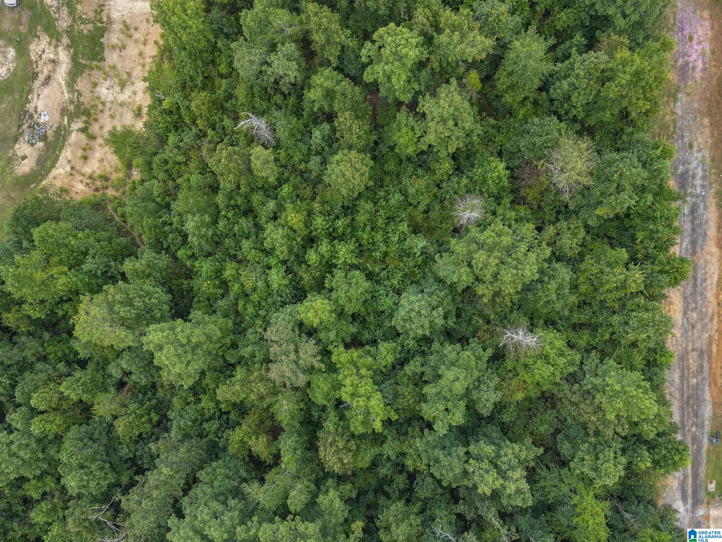 000 OAK LEAF COURT 1