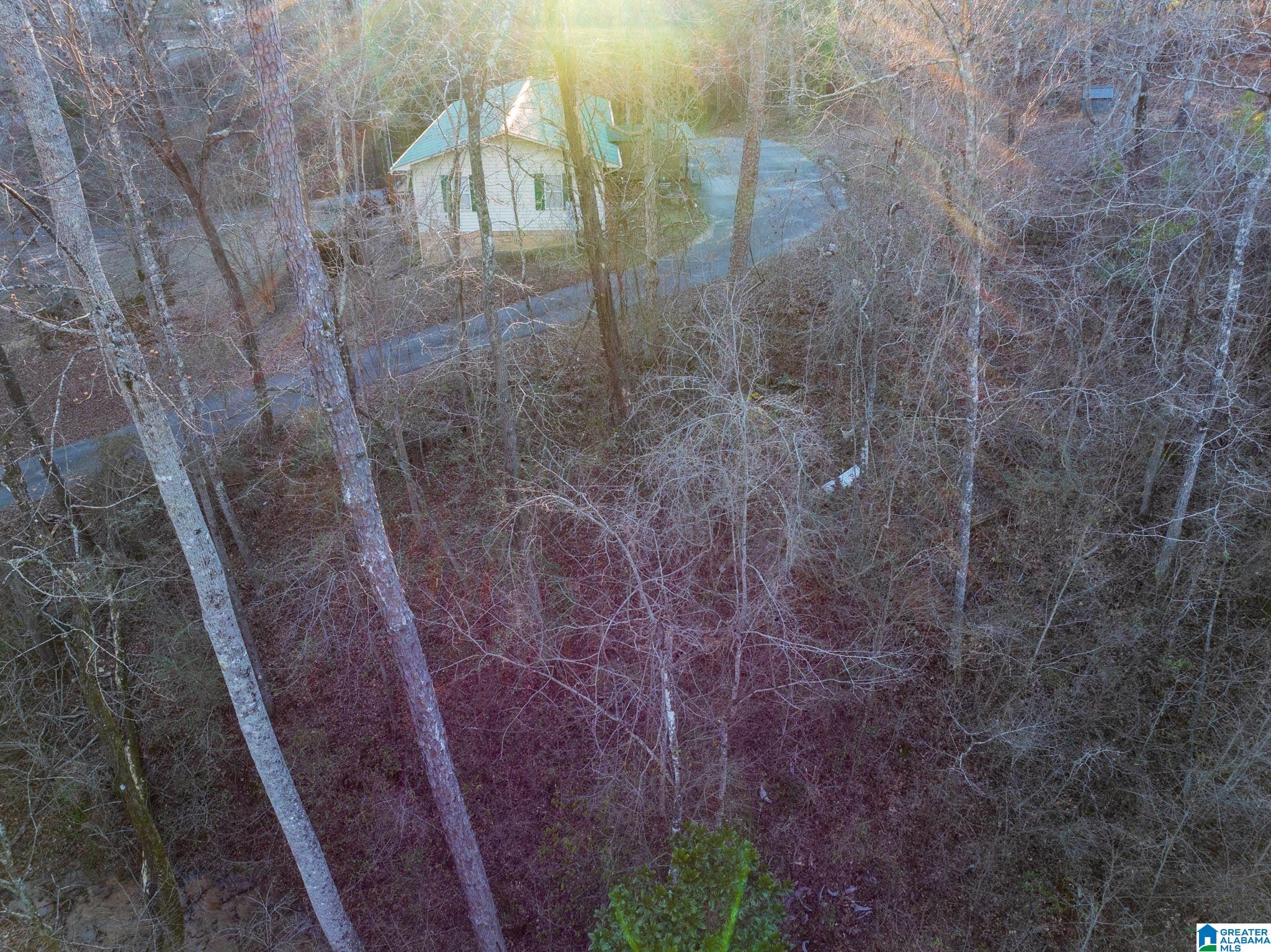 PINEDALE SHORES 1
