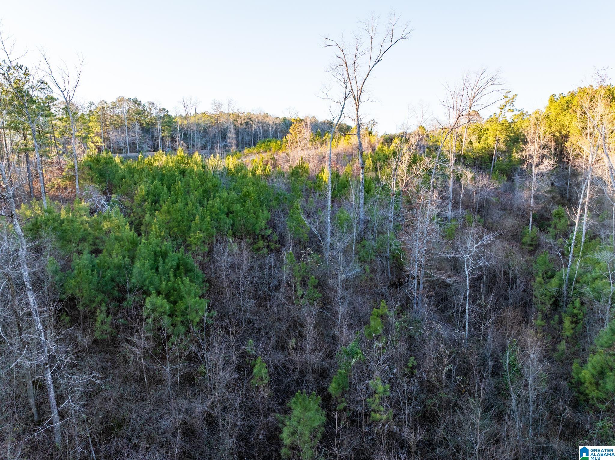 PINEDALE SHORES 1