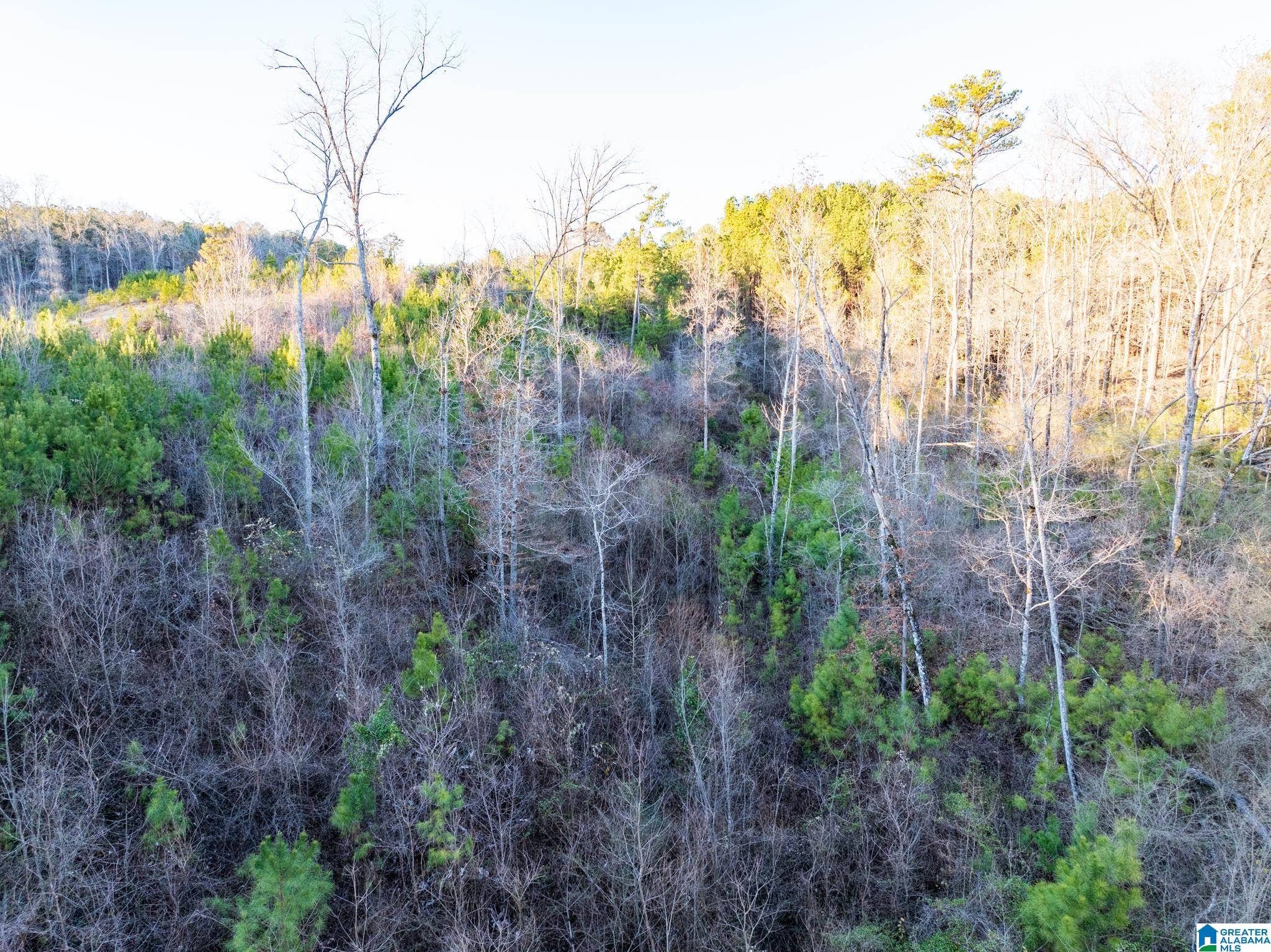 PINEDALE SHORES 1