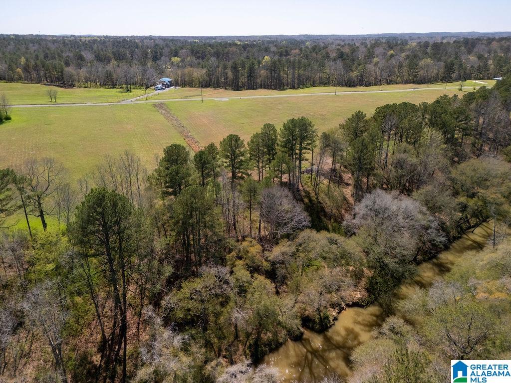 BLUEGRASS LANE 11