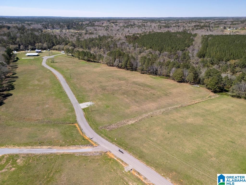 BLUEGRASS LANE 11