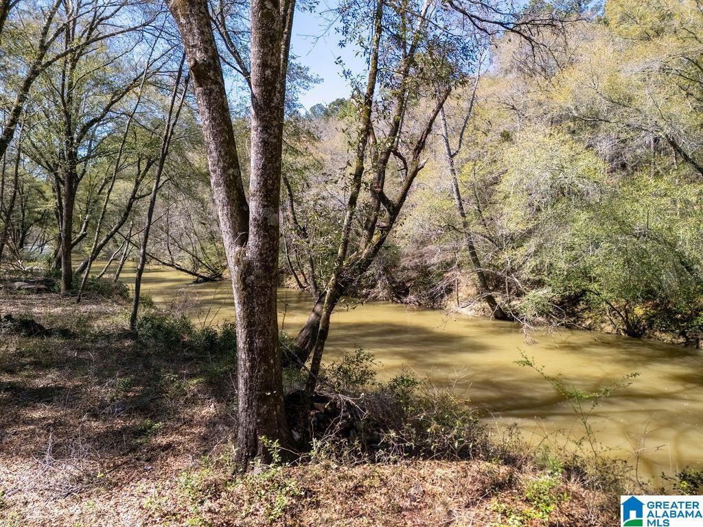 BLUEGRASS LANE 11