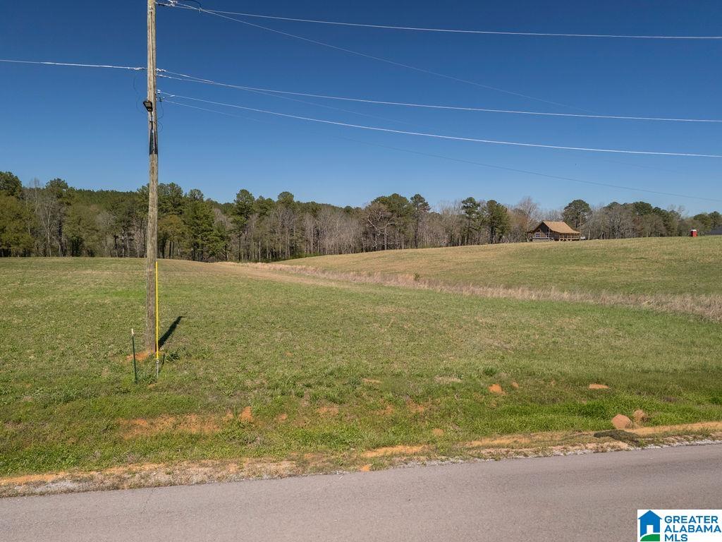 BLUEGRASS LANE 11