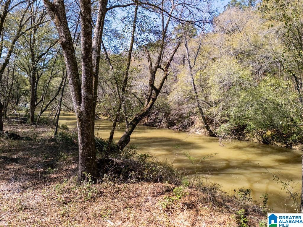 BLUEGRASS LANE 11