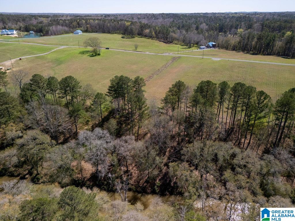 BLUEGRASS LANE 11