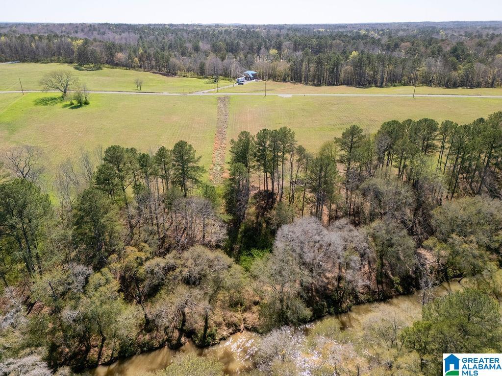 BLUEGRASS LANE 11