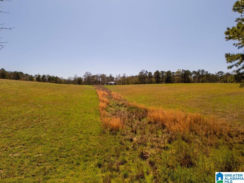 BLUEGRASS LANE 11