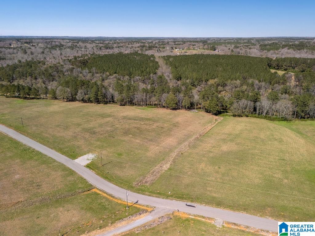 BLUEGRASS LANE 11