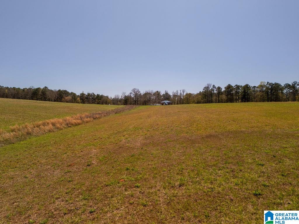 BLUEGRASS LANE 11