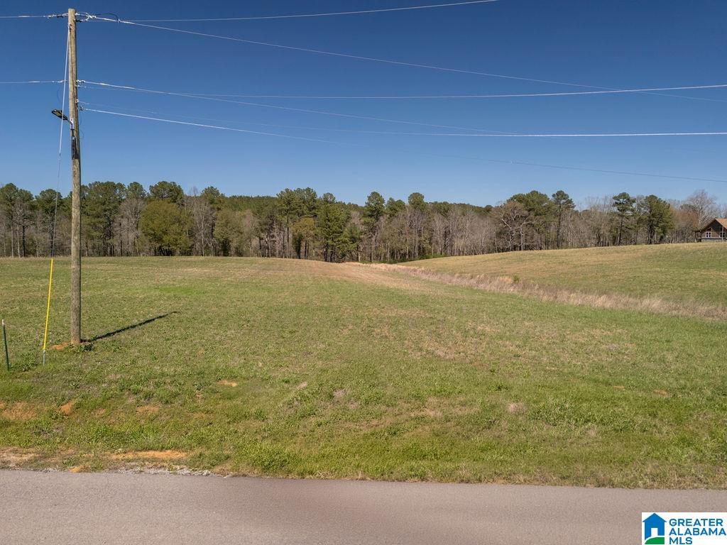 BLUEGRASS LANE 11