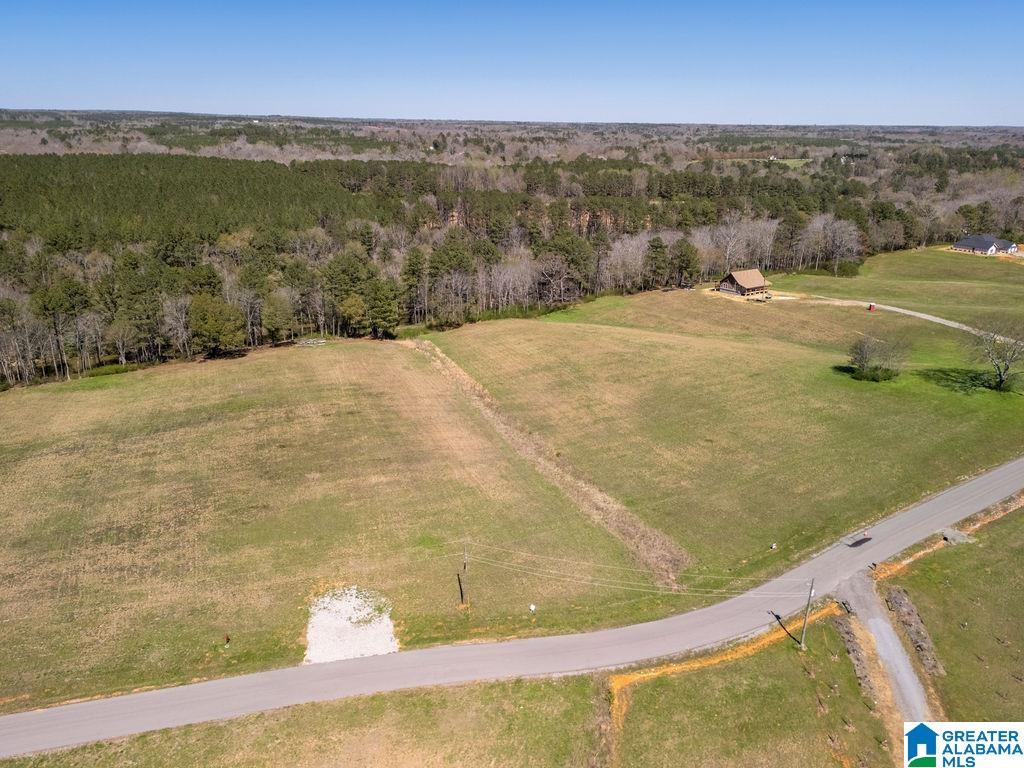 BLUEGRASS LANE 11