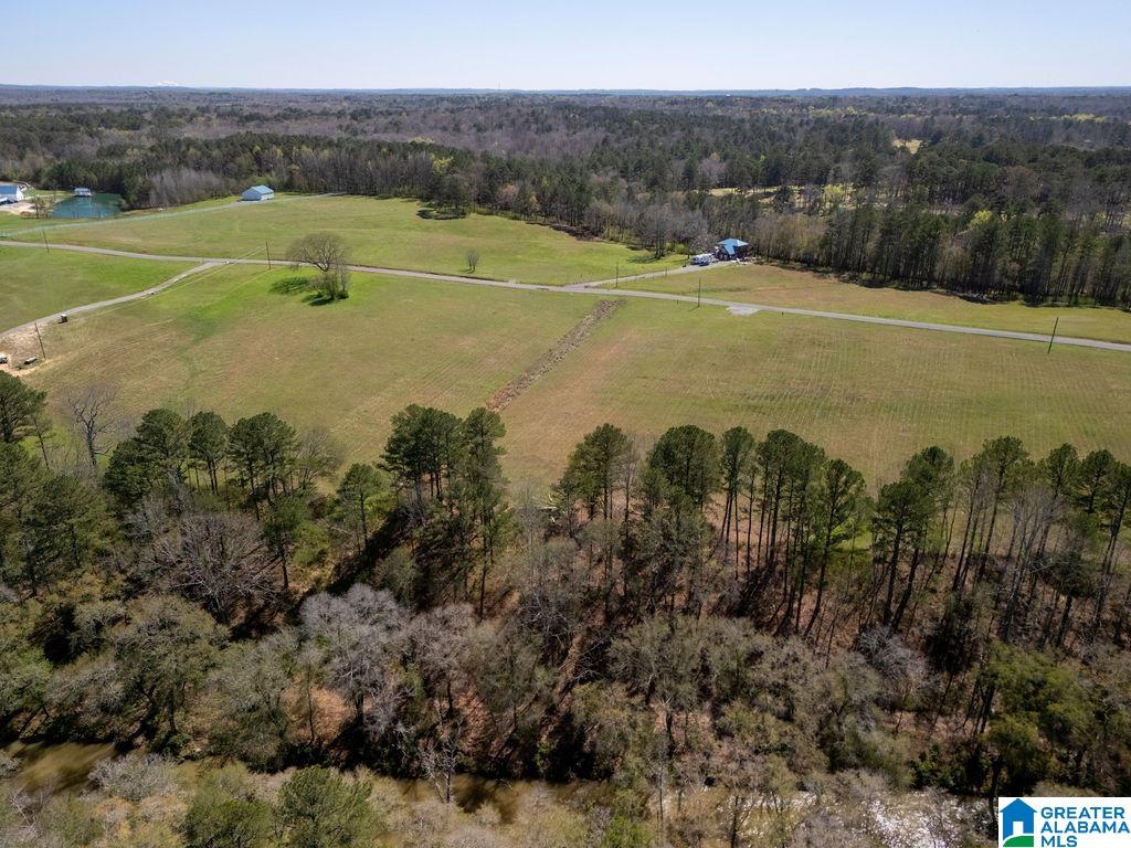 BLUEGRASS LANE 11