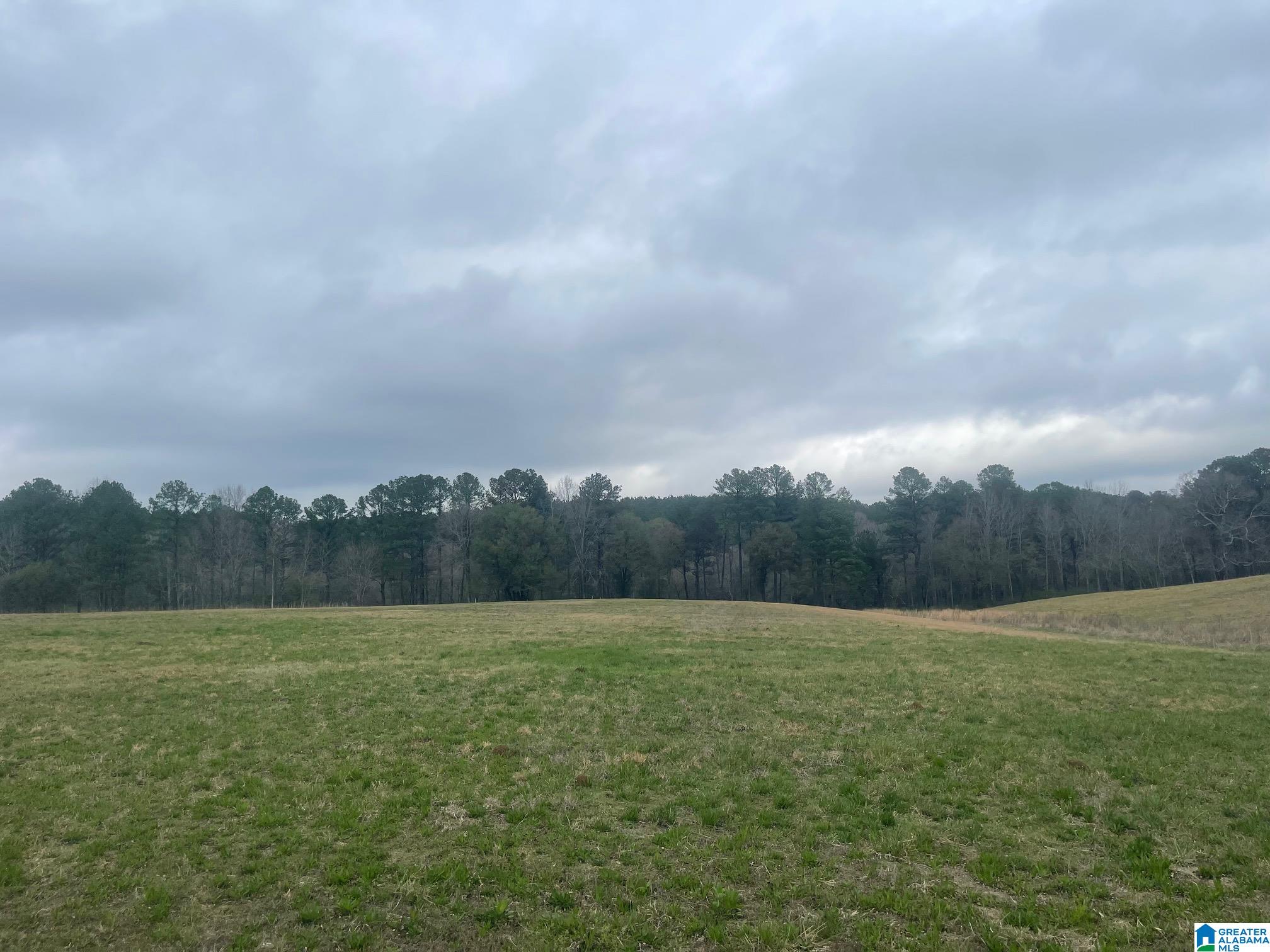 BLUEGRASS LANE 11