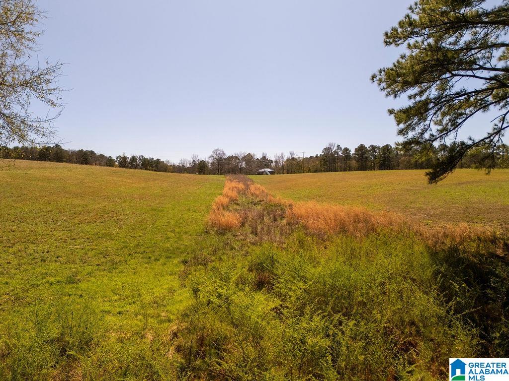 BLUEGRASS LANE 11