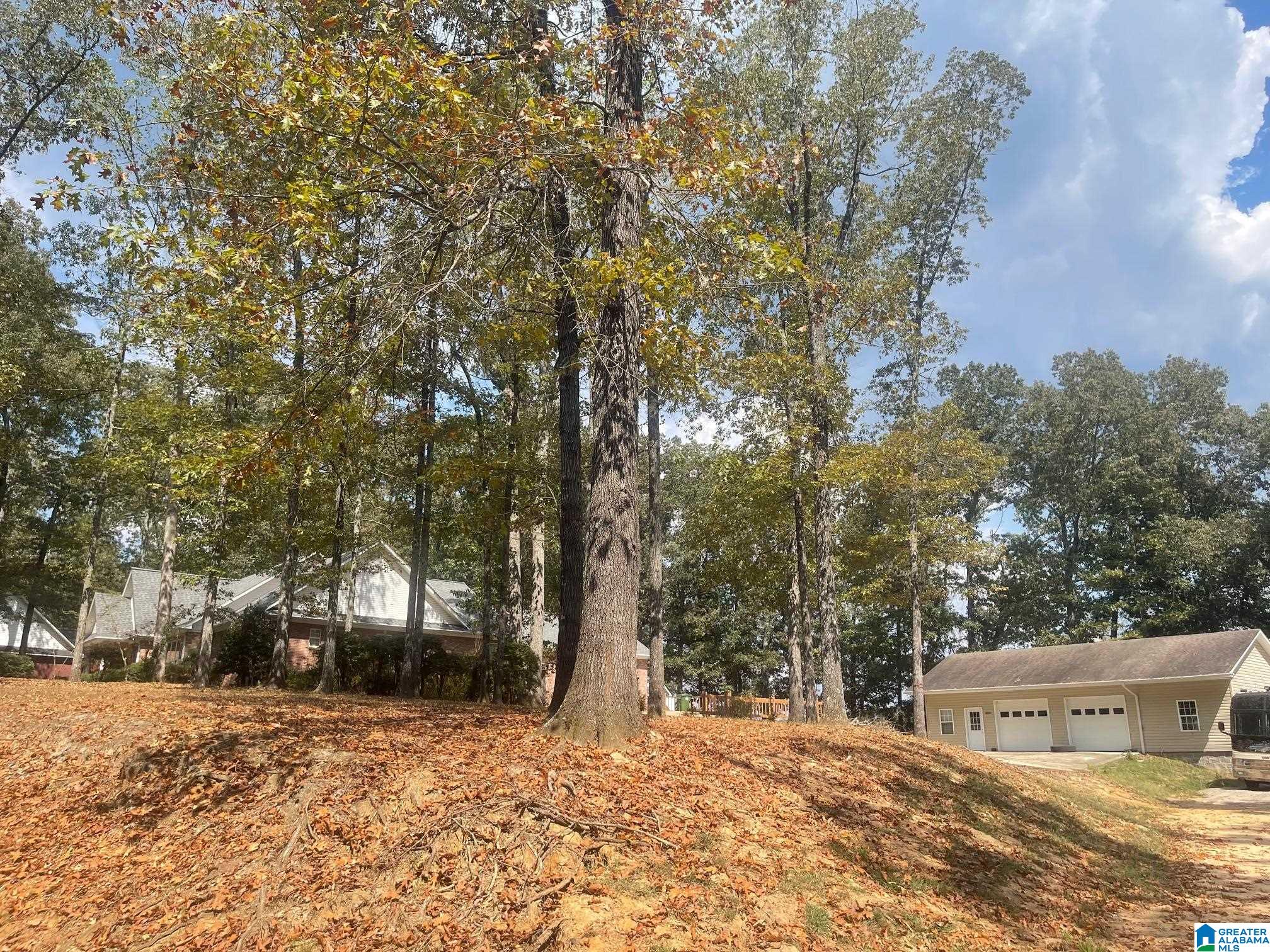 3807 TURKEY RUN 87