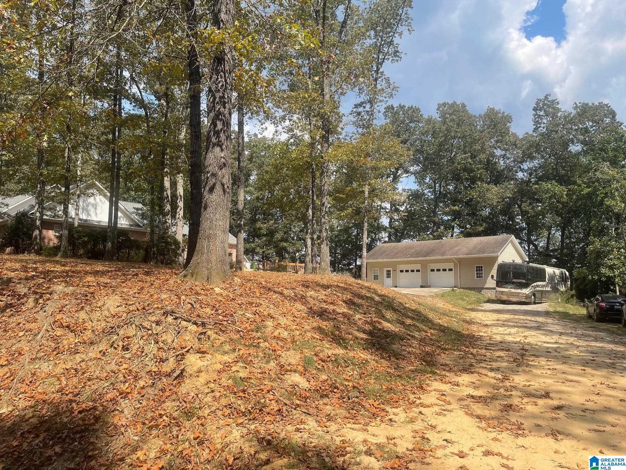 3807 TURKEY RUN 87
