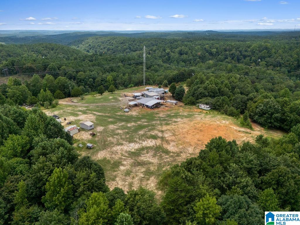 1014 PUMPKIN CENTER CUT OFF ROAD