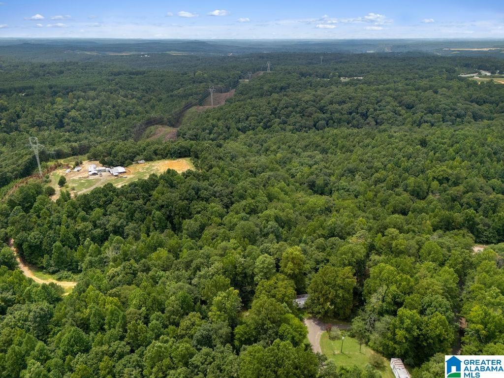 1014 PUMPKIN CENTER CUT OFF ROAD