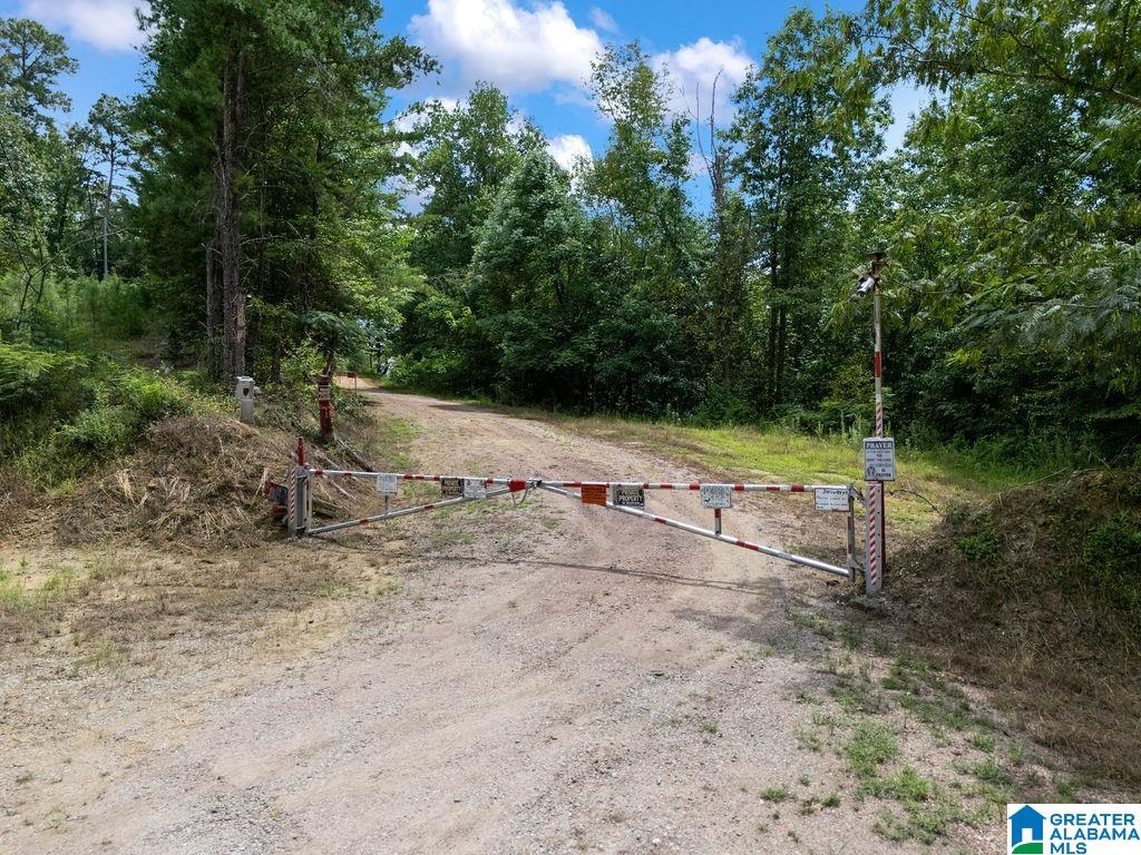 1014 PUMPKIN CENTER CUT OFF ROAD
