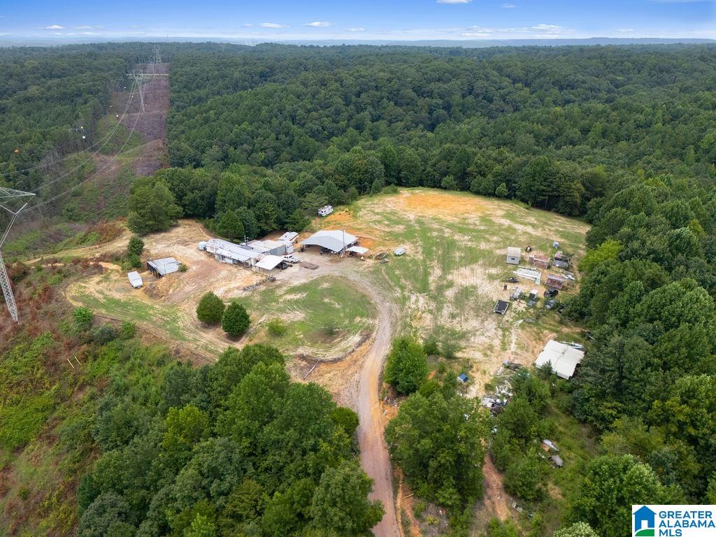 1014 PUMPKIN CENTER CUT OFF ROAD