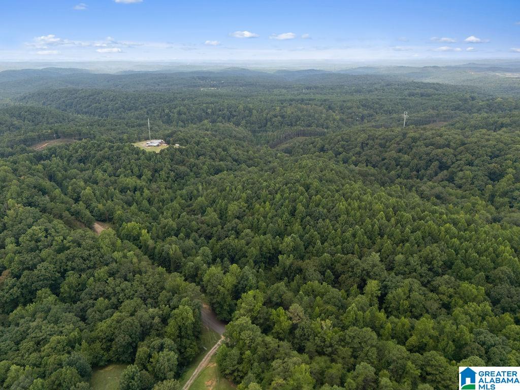 1014 PUMPKIN CENTER CUT OFF ROAD
