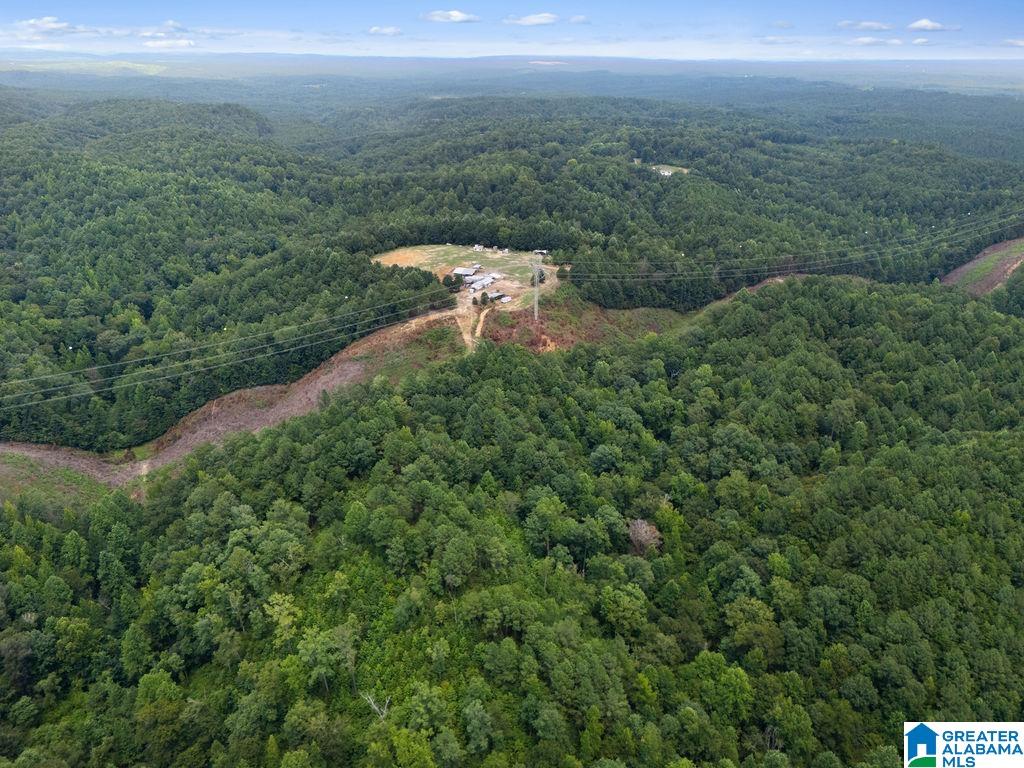 1014 PUMPKIN CENTER CUT OFF ROAD