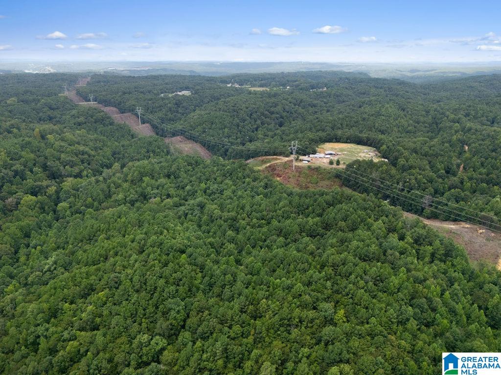 1014 PUMPKIN CENTER CUT OFF ROAD