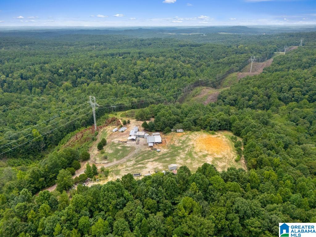 1014 PUMPKIN CENTER CUT OFF ROAD