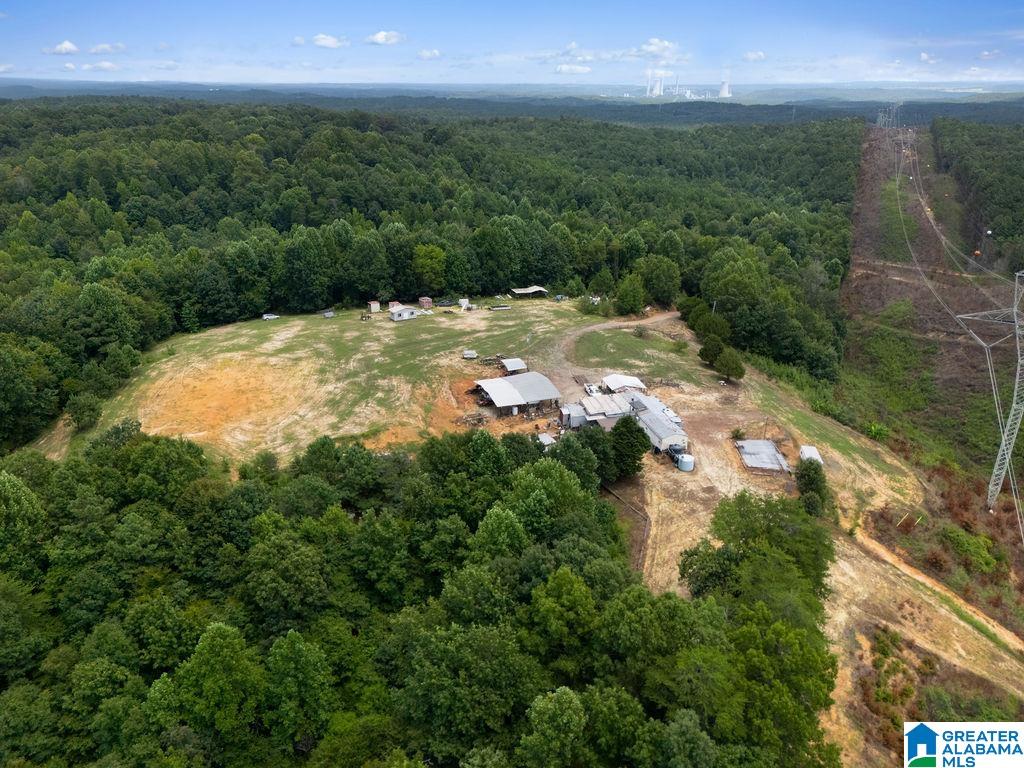 1014 PUMPKIN CENTER CUT OFF ROAD