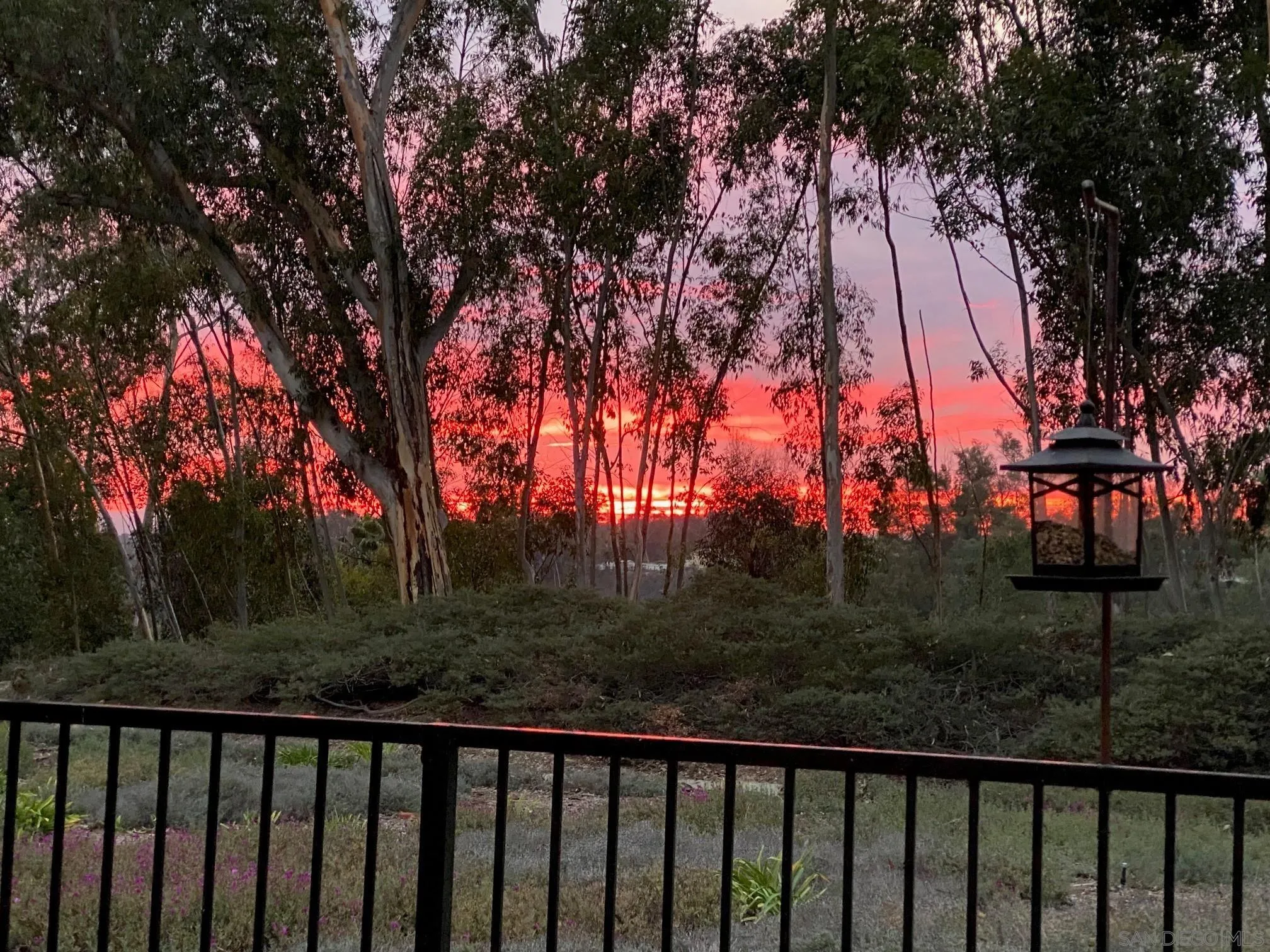 10884 Caminito Colorado