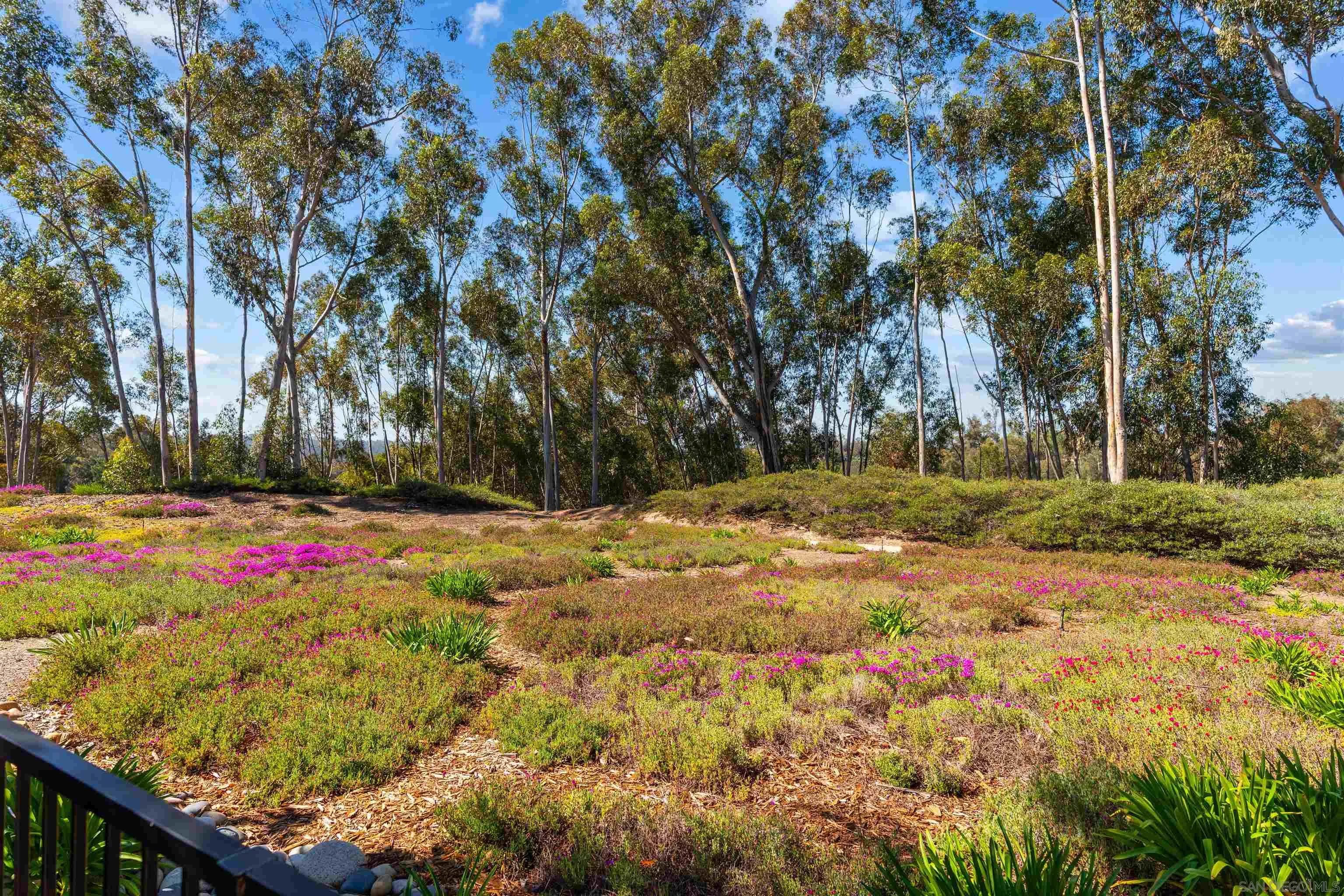 10884 Caminito Colorado