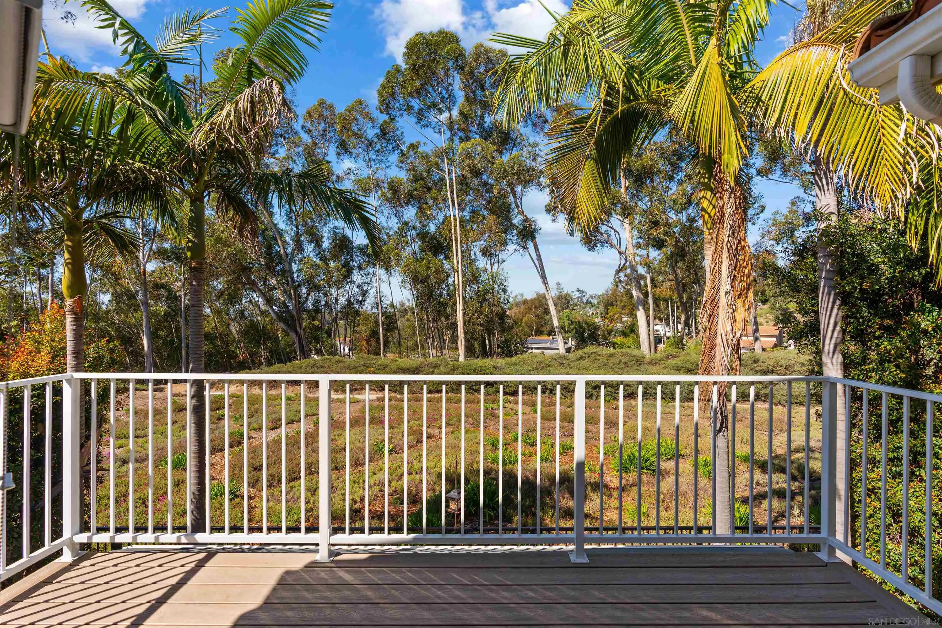 10884 Caminito Colorado