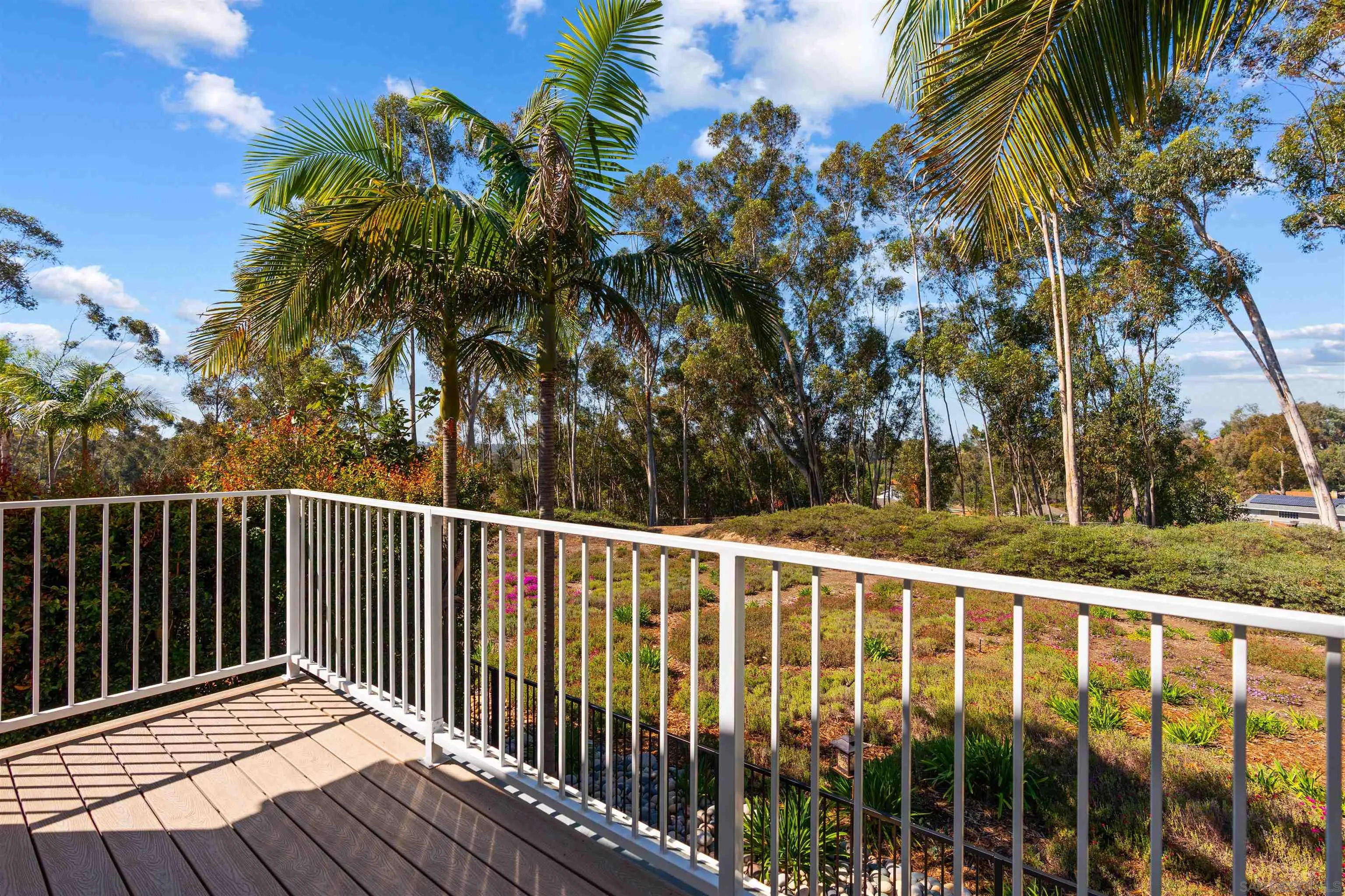 10884 Caminito Colorado