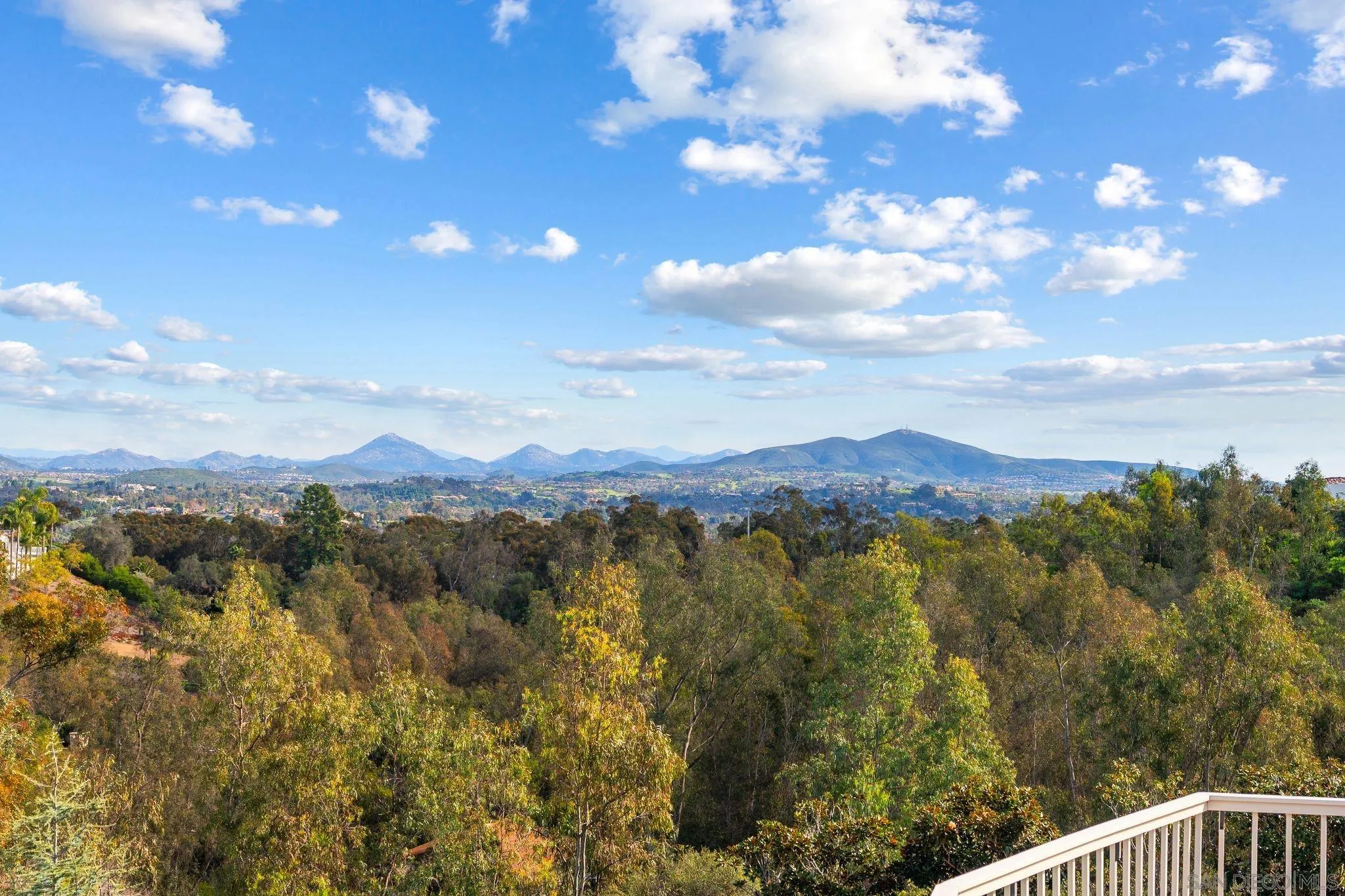 16032 Puerta Del Sol